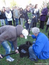 2011.10.25-28 - Comenius