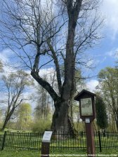 20250429-SCONE-oboz_na_Litwie-14